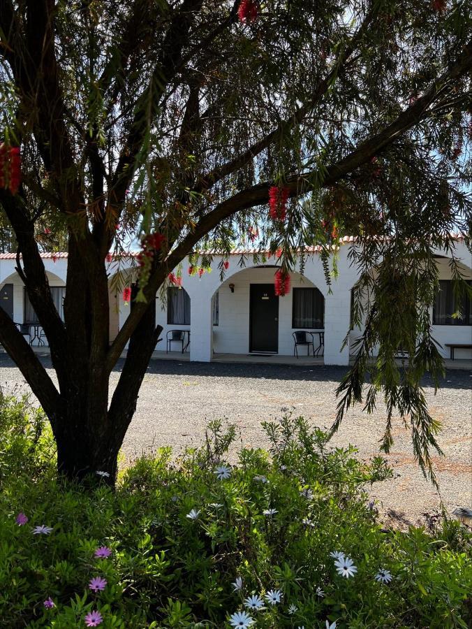 Azalea Motel Coonabarabran Exterior foto