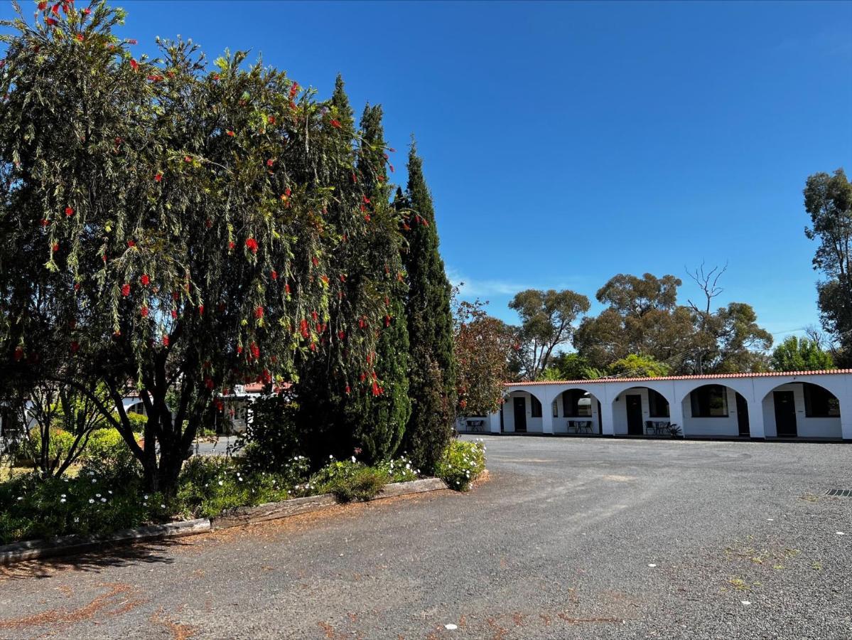 Azalea Motel Coonabarabran Exterior foto