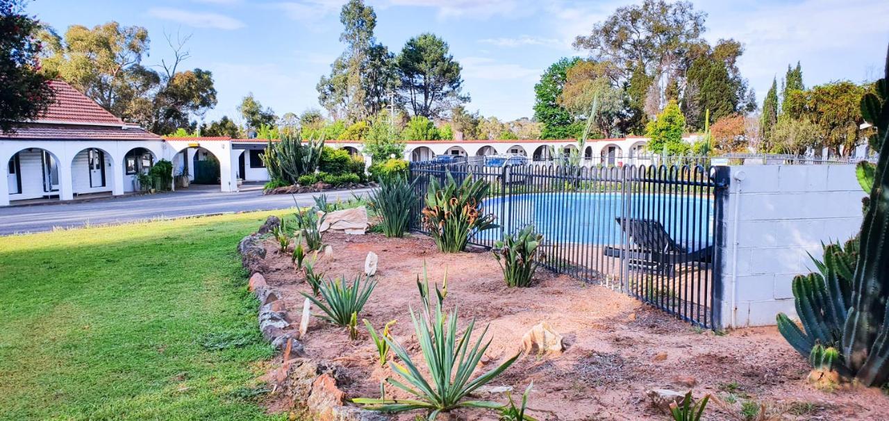 Azalea Motel Coonabarabran Exterior foto