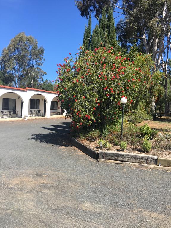 Azalea Motel Coonabarabran Exterior foto